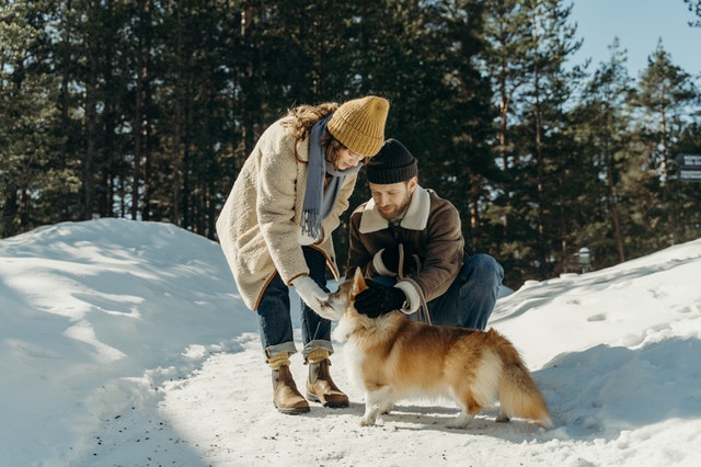 Ein Paar knuddelt seinen Hund im Schnee - Digitale Auszeit